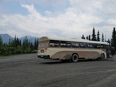 denali bus tour