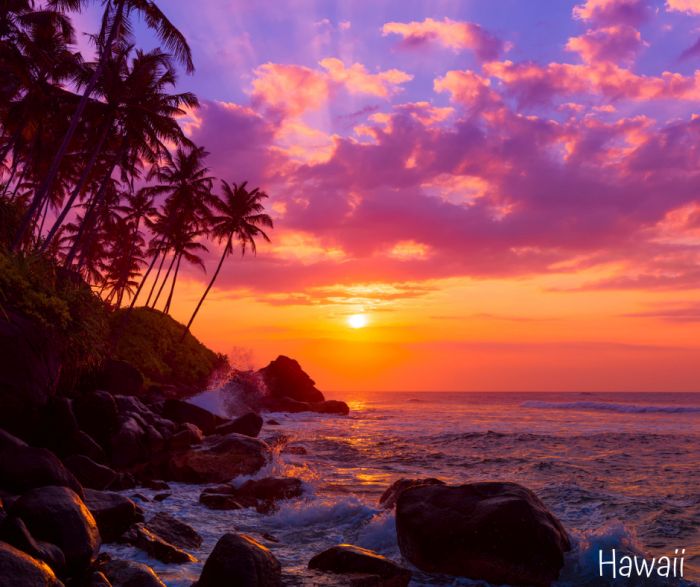 hawaii honeymoon vacation planner chandler